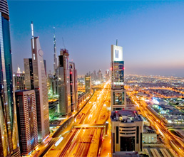 Dubai Inc. In 2012