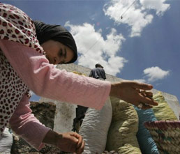 Morocco: Cultivating new crops