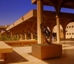 Top MENA Universities