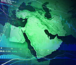 GCC leads IPOs in MENA in 2011
