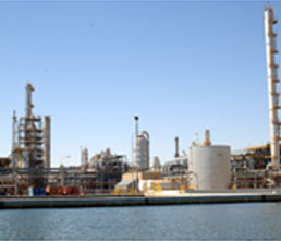 Saudi petchem firms healthy despite global uncertainties